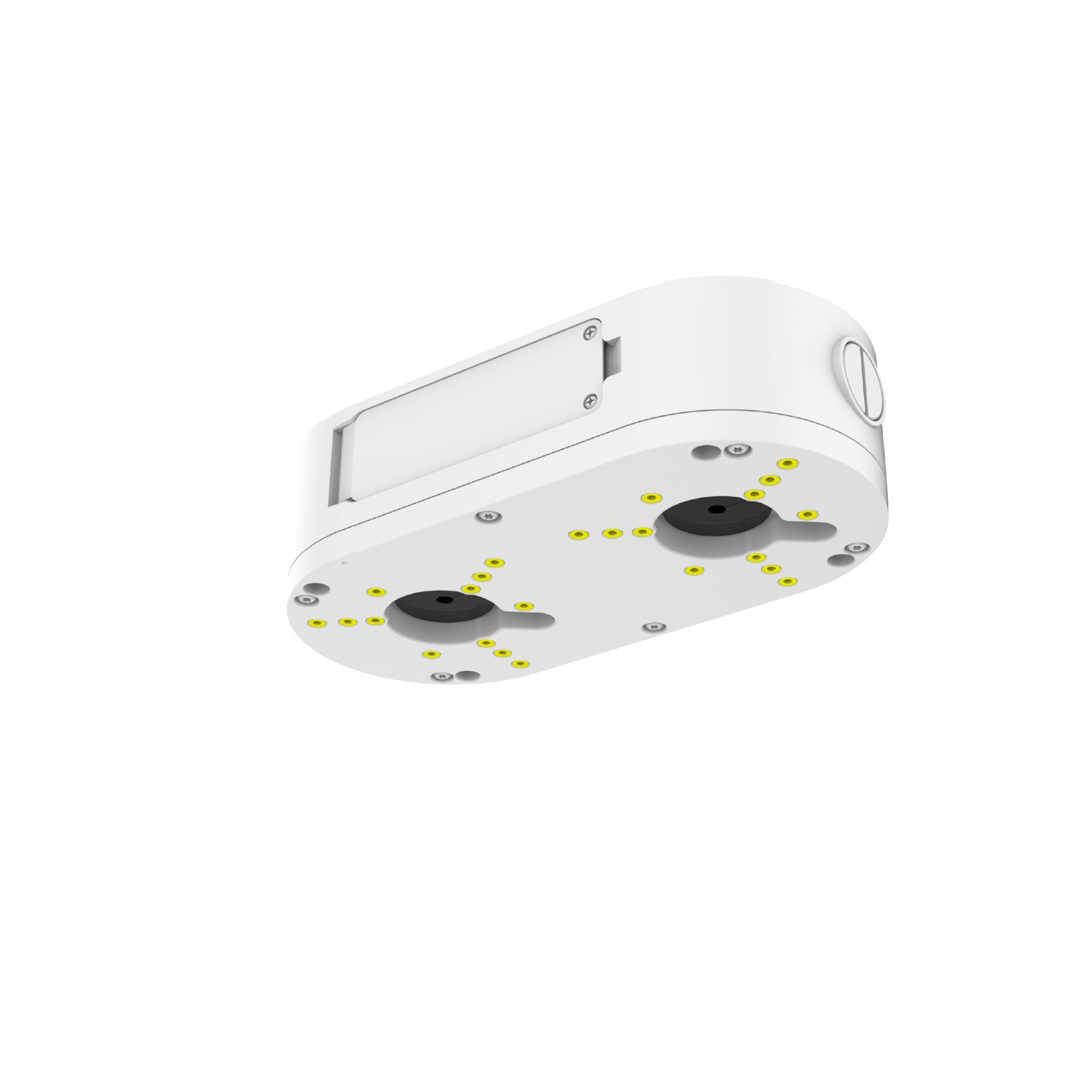 IV2480X Mount Cover
